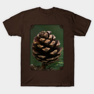 Pine cone T-Shirt